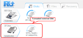 Formatted disks in R-Undelete