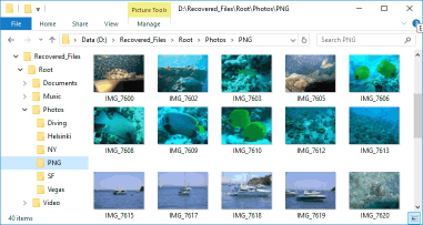 Recovered files