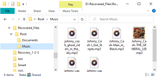 Recovered files