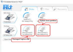 R-Undelete: Discovered logical disks