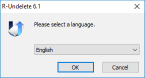 Language of the install process