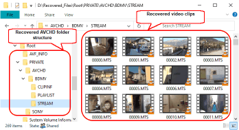 Recovered AVCHD folders and files