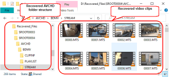 Recovered AVCHD folders and files