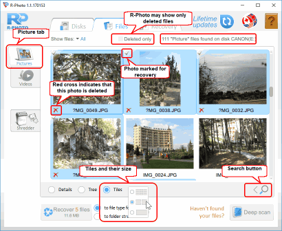 Painel Files (arquivos)