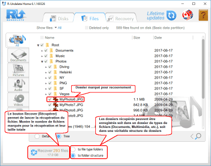 Fichiers marqués pour la récupération