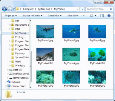 Récupération de fichiers accidentellement supprimés: Dossier Mes images