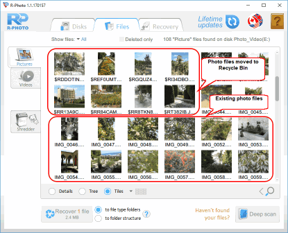 사진 및 비디오 파일 복구: 파일 표시