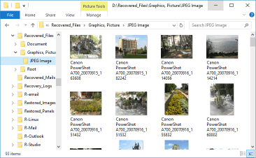 Photo Recovery: Папка с восстановленными файлами