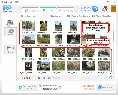 Бесплатное восстановление фото и видео файлов: Фото файлы, отправленные в Корзину